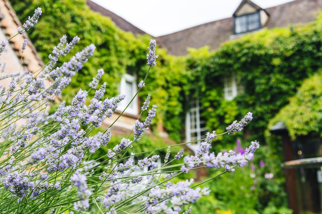 Old Rectory House, 4* Redditch