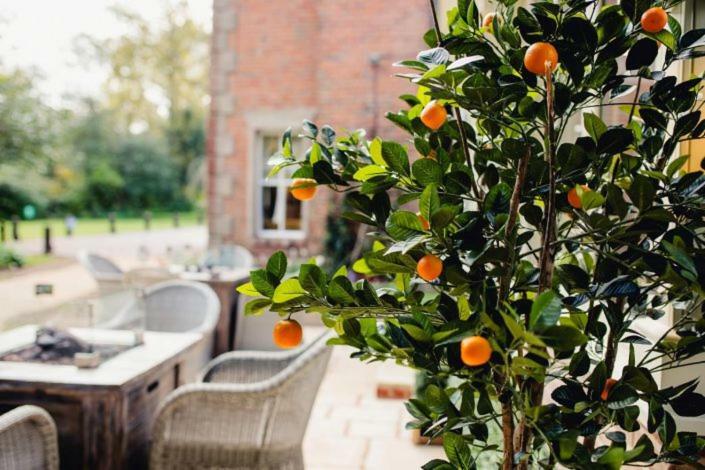 Hotel Old Rectory House, 4*